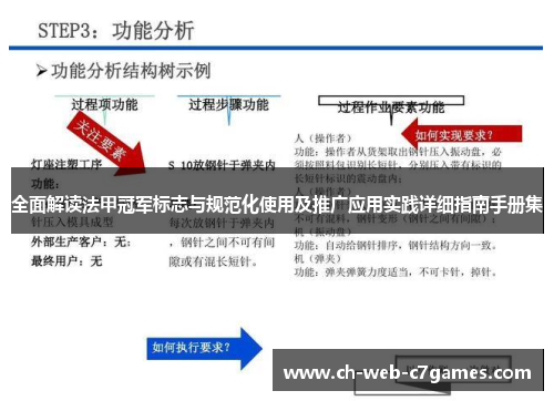 全面解读法甲冠军标志与规范化使用及推广应用实践详细指南手册集
