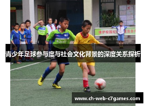 青少年足球参与度与社会文化背景的深度关系探析