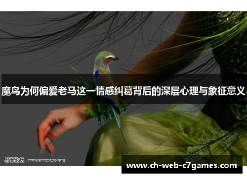 魔鸟为何偏爱老马这一情感纠葛背后的深层心理与象征意义