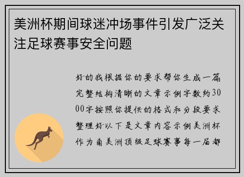 美洲杯期间球迷冲场事件引发广泛关注足球赛事安全问题 美洲杯期间球迷冲场事件引发广泛关注足球赛事安全问题